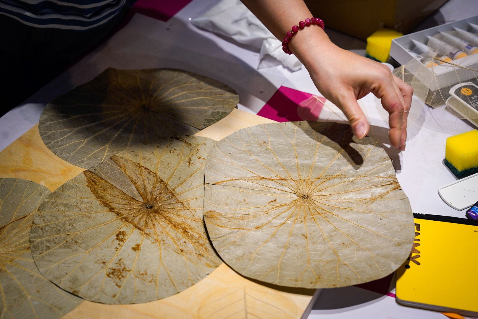 植物彩繪課程照片4