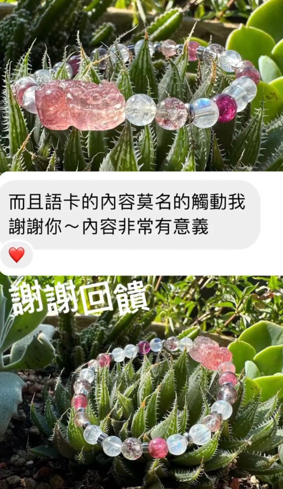 小月亮真實回饋 42