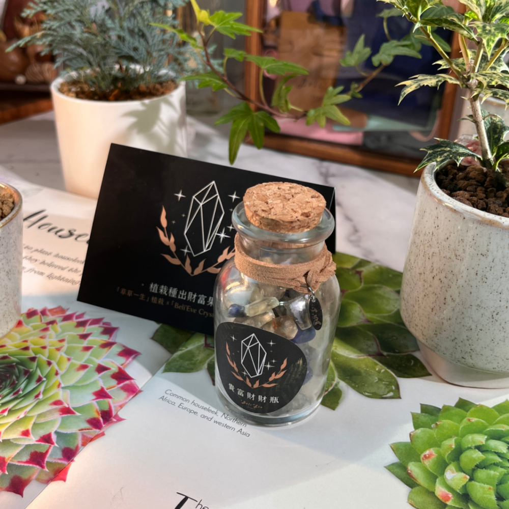 療癒寶石盒-植栽C盒 與植栽界有名#草草一生 合作