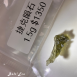 轉化人生『捷克隕石1.5G』身體改變