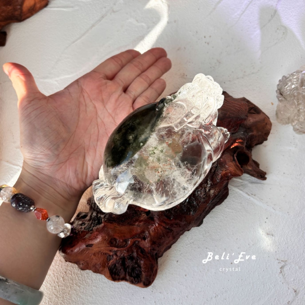 『超級巨大』綠幽靈大龍龜+底座 排除負能 事業加強 生意興隆