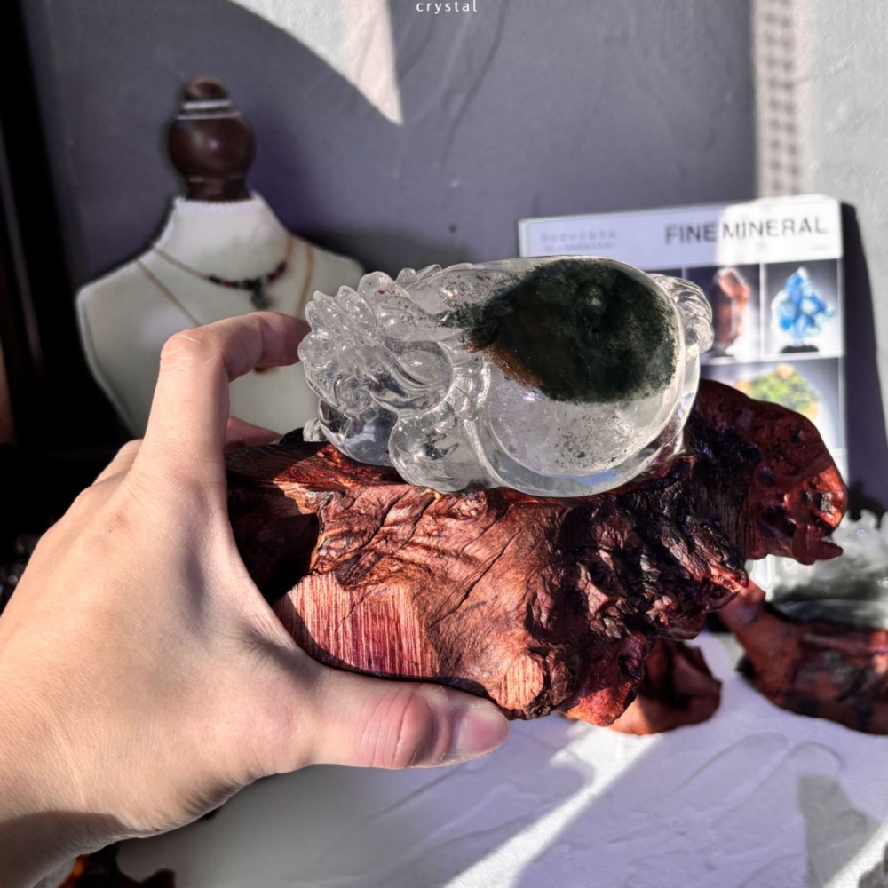 『超級巨大』綠幽靈大龍龜+底座 排除負能 事業加強 生意興隆