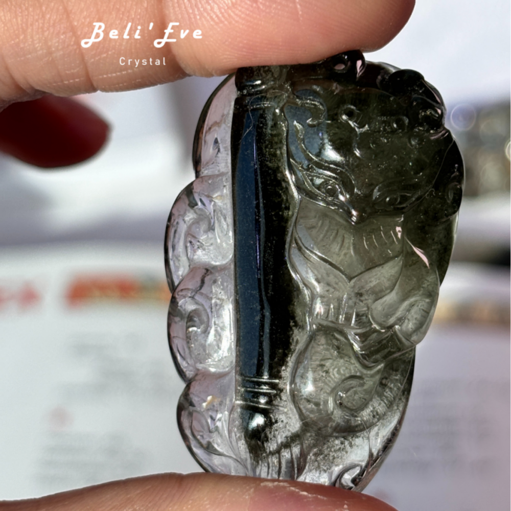 『學運考試』文昌學習加倍深綠綠 幽靈九尾狐 高普考 證照考試