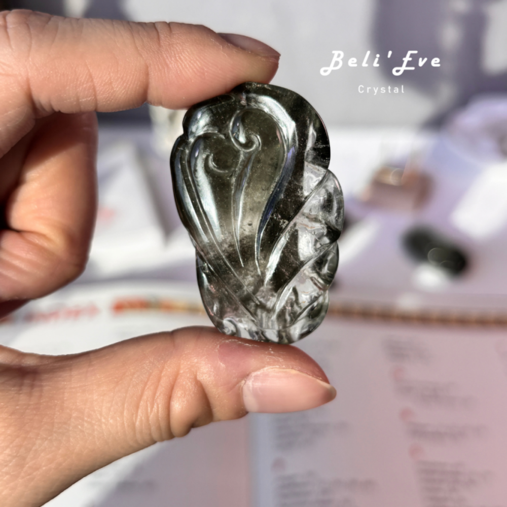 『學運考試』文昌學習加倍深綠綠 幽靈九尾狐 高普考 證照考試