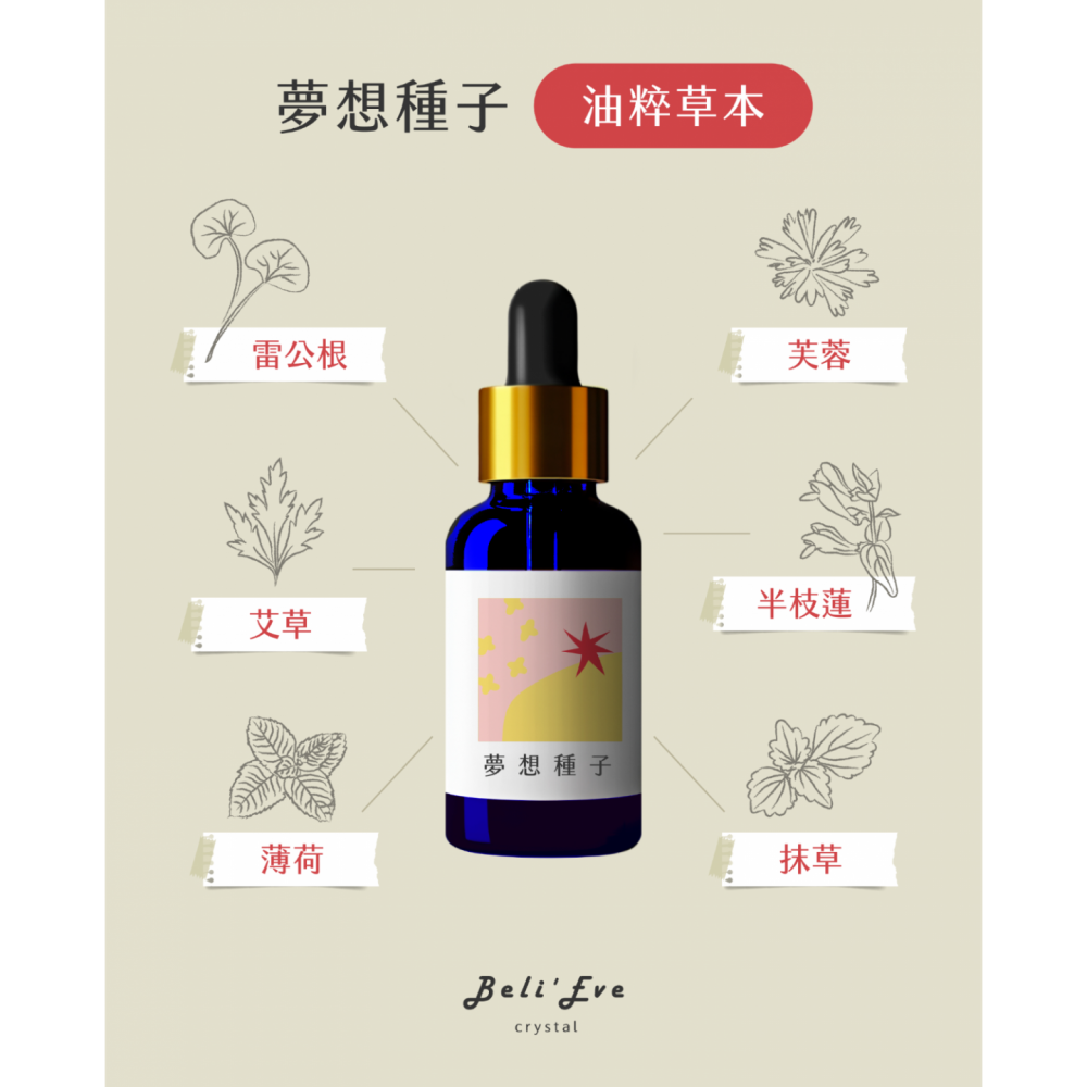 夢想種子|草藥療癒油・心願啟程