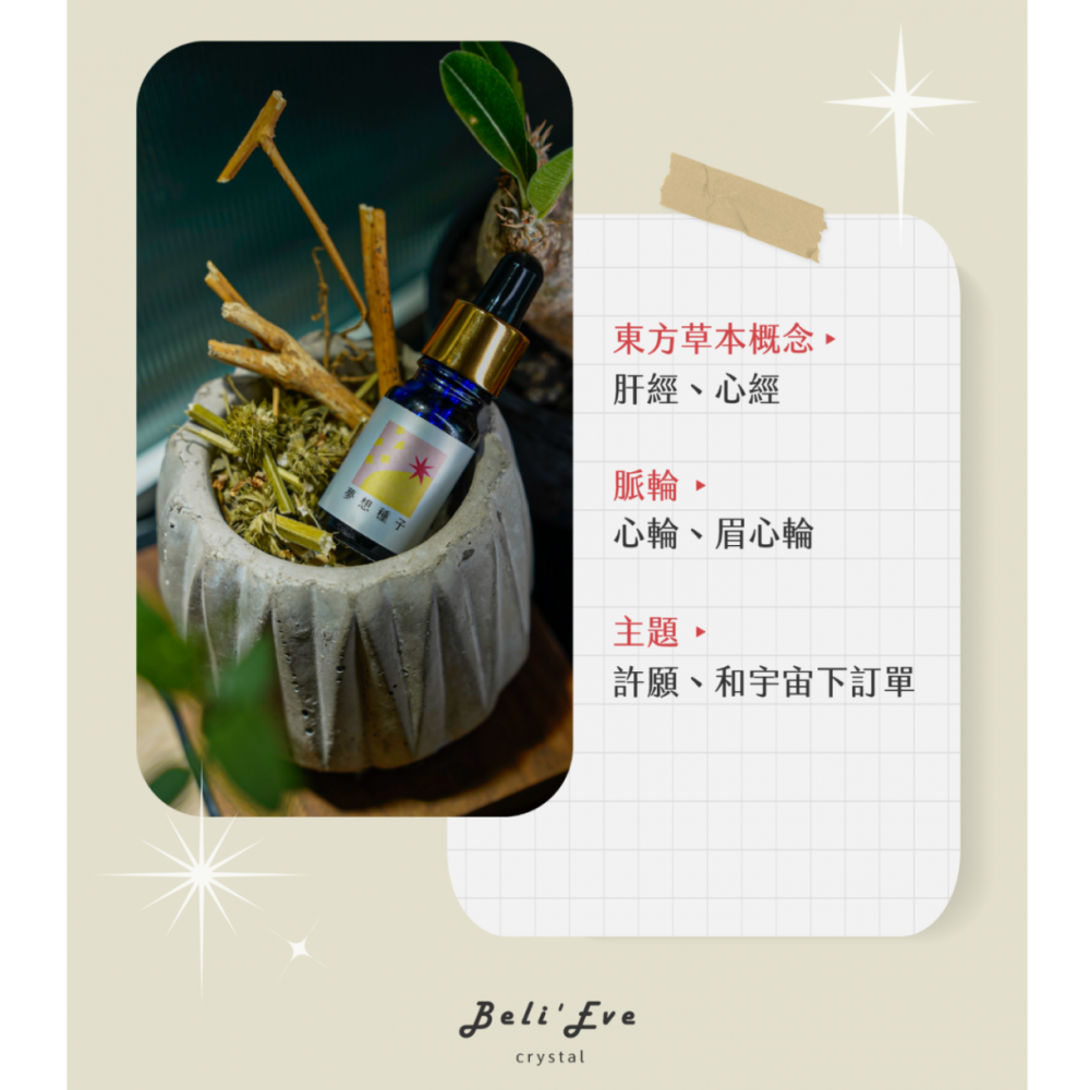 療癒寶石盒-許願B盒 草藥療癒油「夢想種子」+淨化透石膏盤