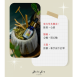 療癒寶石盒-許願B盒 草藥療癒油「夢想種子」+淨化透石膏盤