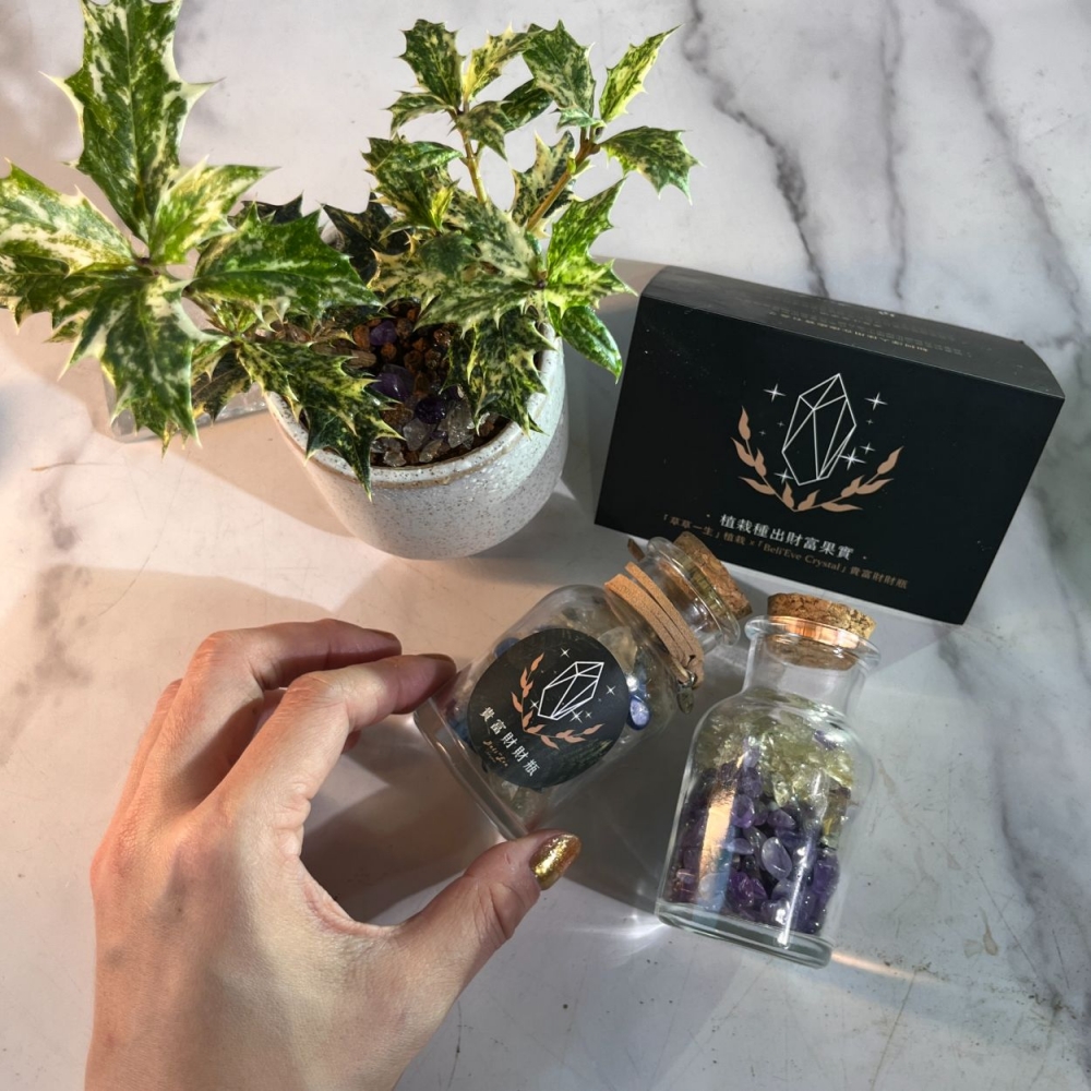 療癒寶石盒 A盒+B/C/D綁定組 The healing treasure box 擺陣調頻