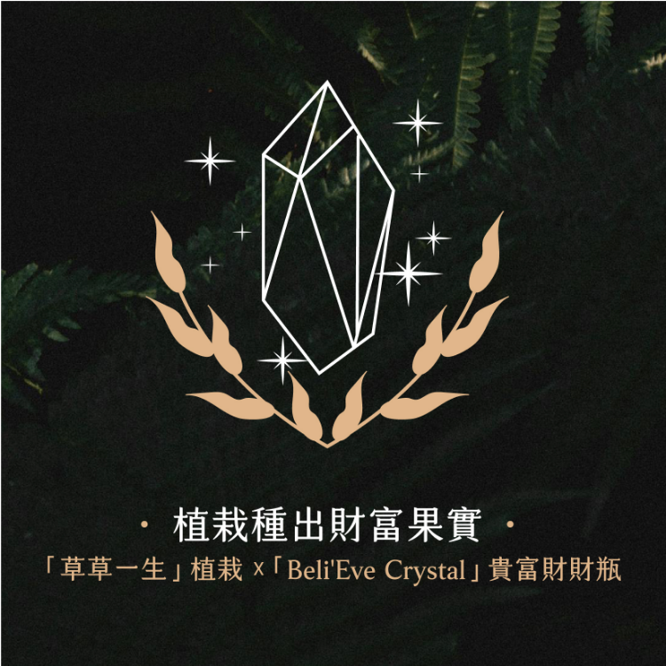 療癒寶石盒-植栽C盒 與植栽界有名#草草一生 合作