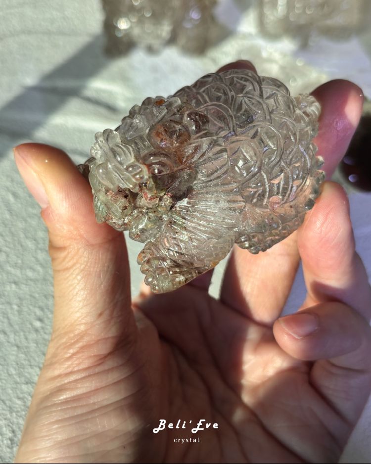 『全脈輪對應』四季幽靈龍龜 四季聚財 抵禦負能量 擺陣中心啟動許願