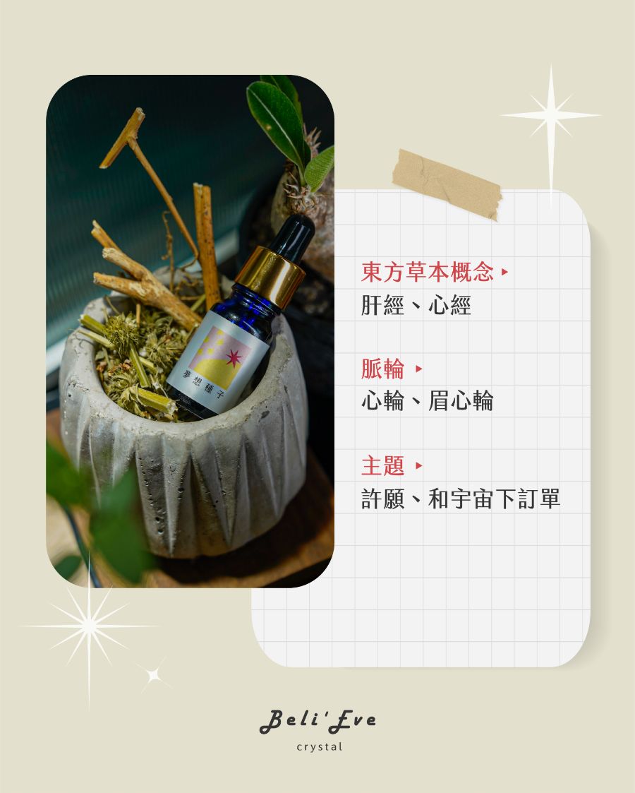 夢想種子｜草藥療癒油・心願啟程