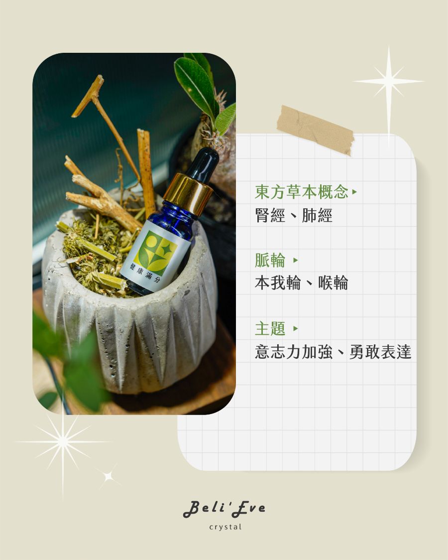 健康滿分｜草藥療癒油・自我關照